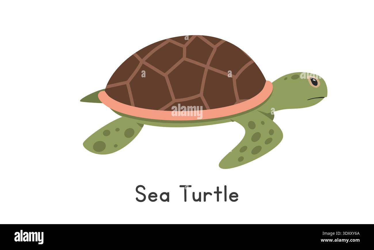 Illustrazione del vettore delle tartarughe marine. Carino clipart dei cartoni animati delle tartarughe marine, animale in stile piatto. Animali marini, creature sottomarine, animali oceanici, vita marina Illustrazione Vettoriale