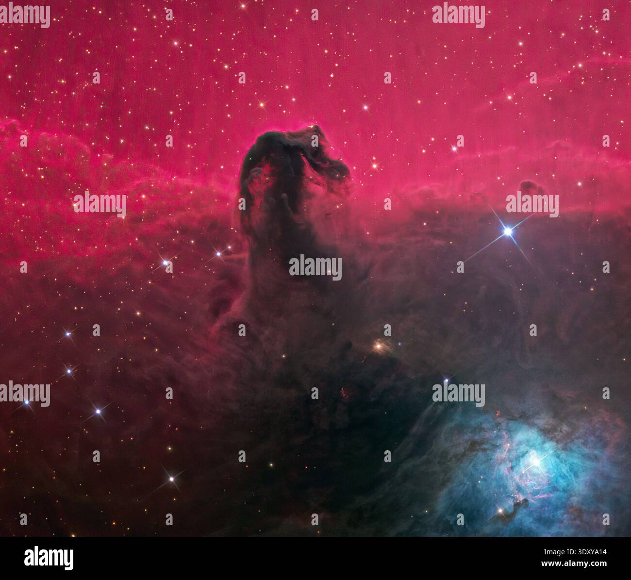 La Nebulosa a testa di cavallo e una nebulosa di emissione nella costellazione di Orione. Foto Stock