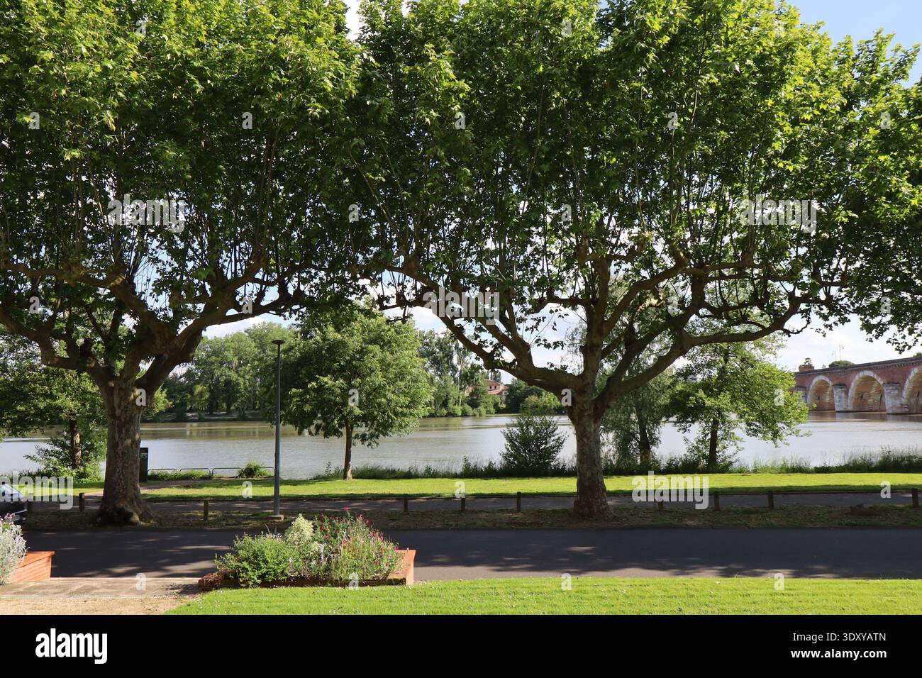 La rivière le Tarn, ville de Moissac, département du Tarn et Garonne, Francia Foto Stock