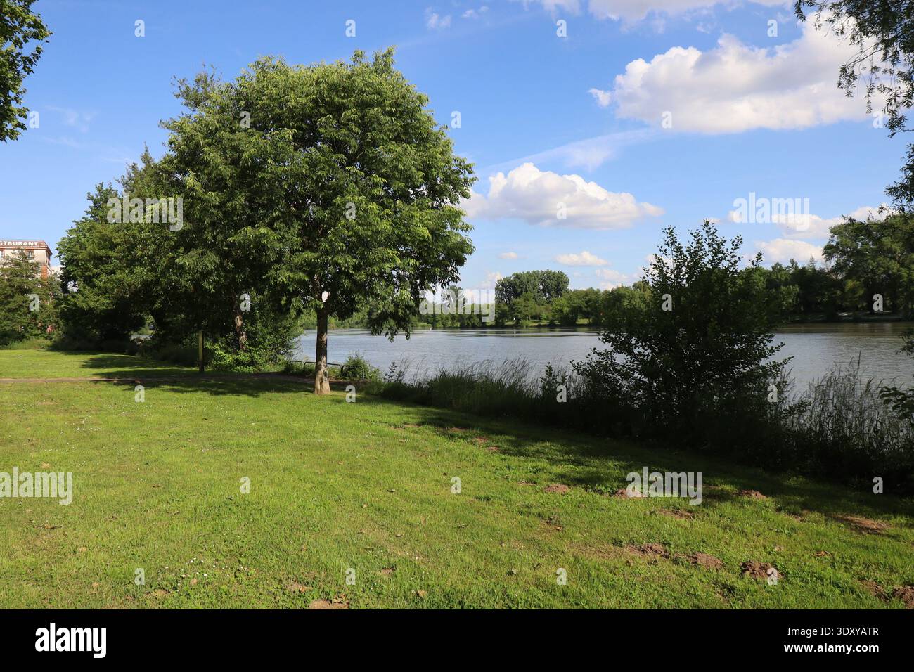 La rivière le Tarn, ville de Moissac, département du Tarn et Garonne, Francia Foto Stock