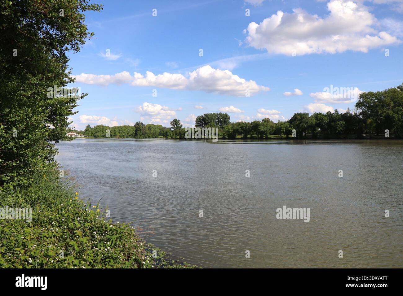 La rivière le Tarn, ville de Moissac, département du Tarn et Garonne, Francia Foto Stock