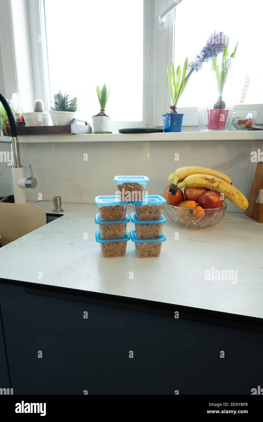 Pile di contenitori blu ripieni di cibo per animali domestici fatto in casa sul bancone della cucina. Preparare pasti nutrienti per cani e gatti con frutta fresca. Concetto di nutrizione e cura degli animali domestici. fotografia Foto Stock