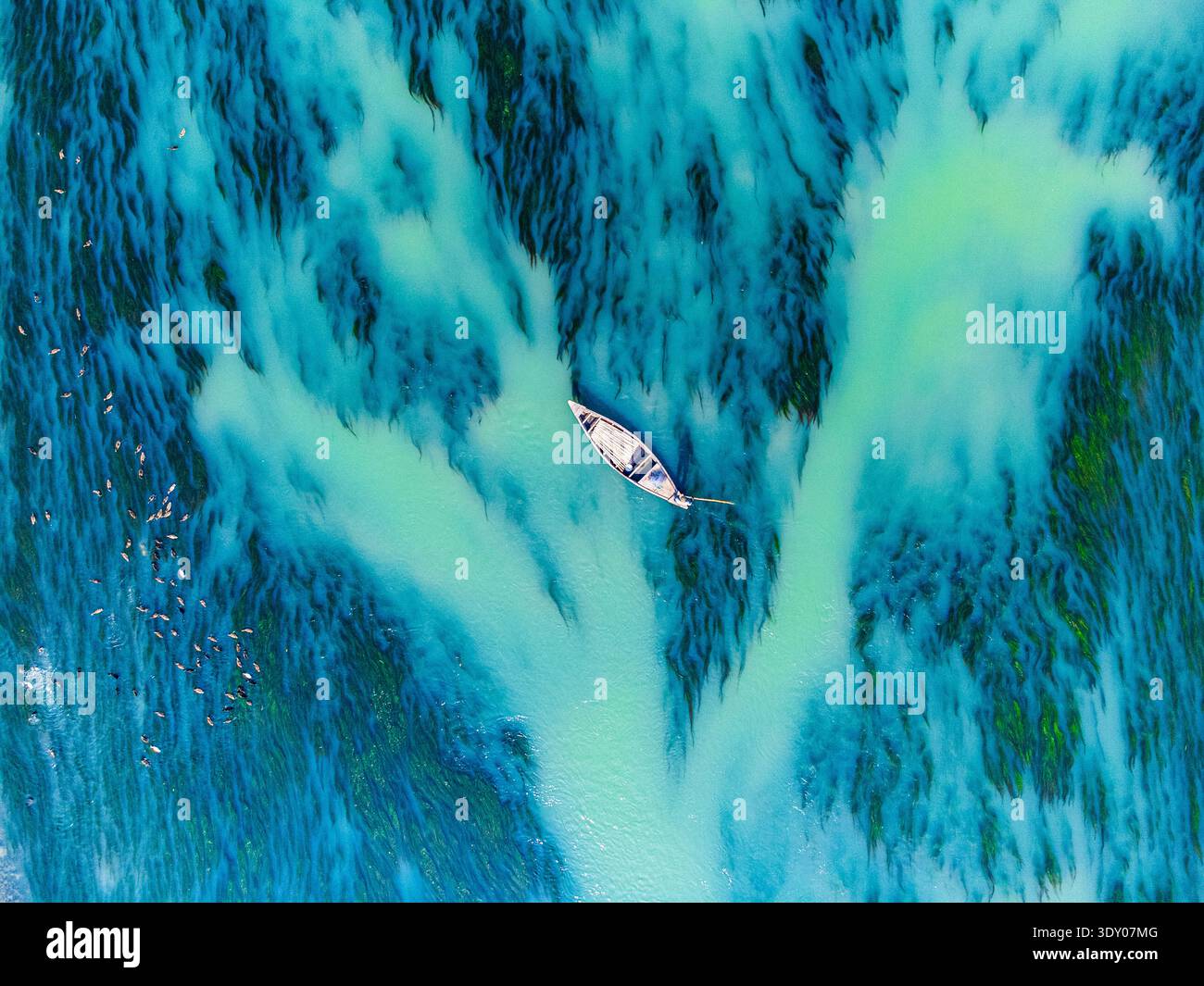 Vista aerea di una barca solitaria che naviga attraverso le acque turchesi, creando un affascinante contrasto con gli intricati motivi sottostanti, Rajshahi e Rajshah Foto Stock