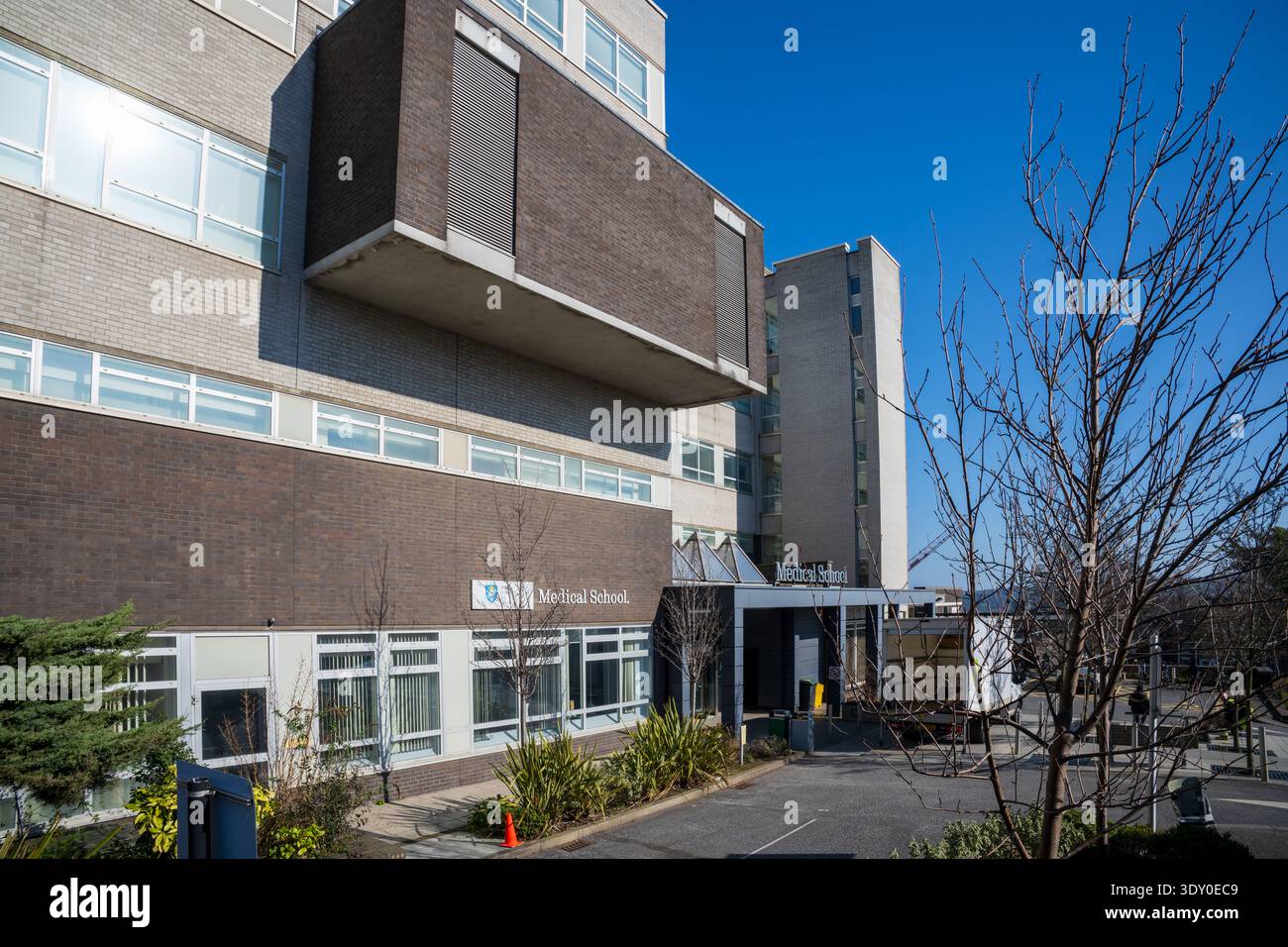 L'edificio della scuola universitaria dell'ospedale Royal Hallamshire a Sheffield. Foto Stock