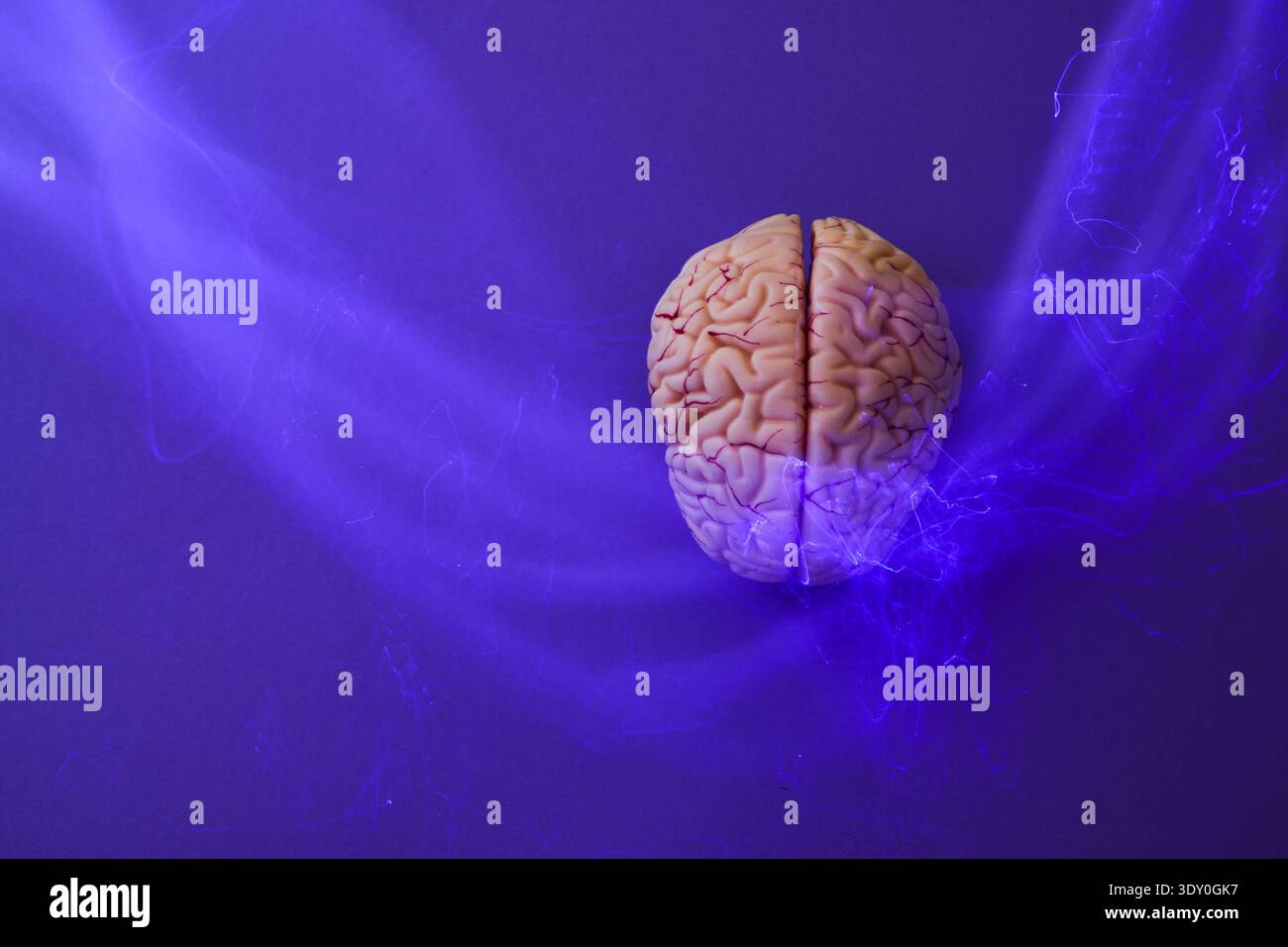 Modello del cervello umano con percorsi neurali brillanti Foto Stock