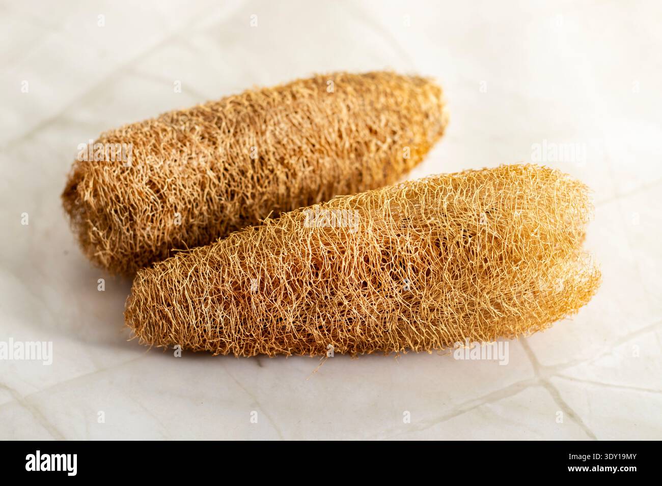 Spugna di loofah naturale su sfondo in marmo, scrubber ecologico per il bagno, texture esfoliante organica, cura della pelle spa, strumento per la pulizia della casa sostenibile Foto Stock
