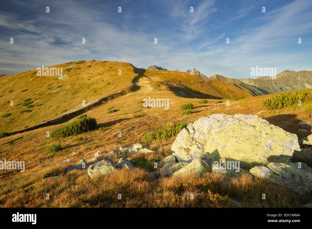 Vista della luce del sole che bagna la cresta erbosa di montagna punteggiata di massi e arbusti sotto un cielo azzurro, Liptovske Kopy, regione di Presov, Slovacchia. Foto Stock