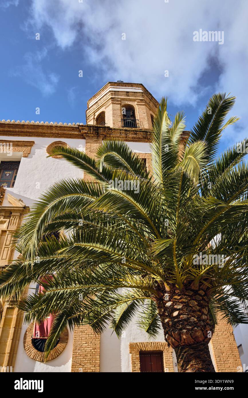 La vista di un'impressionante palma si erge in alto sullo sfondo di un edificio con una torre sotto un cielo blu, Ronda, Andalusia, Spagna. Foto Stock