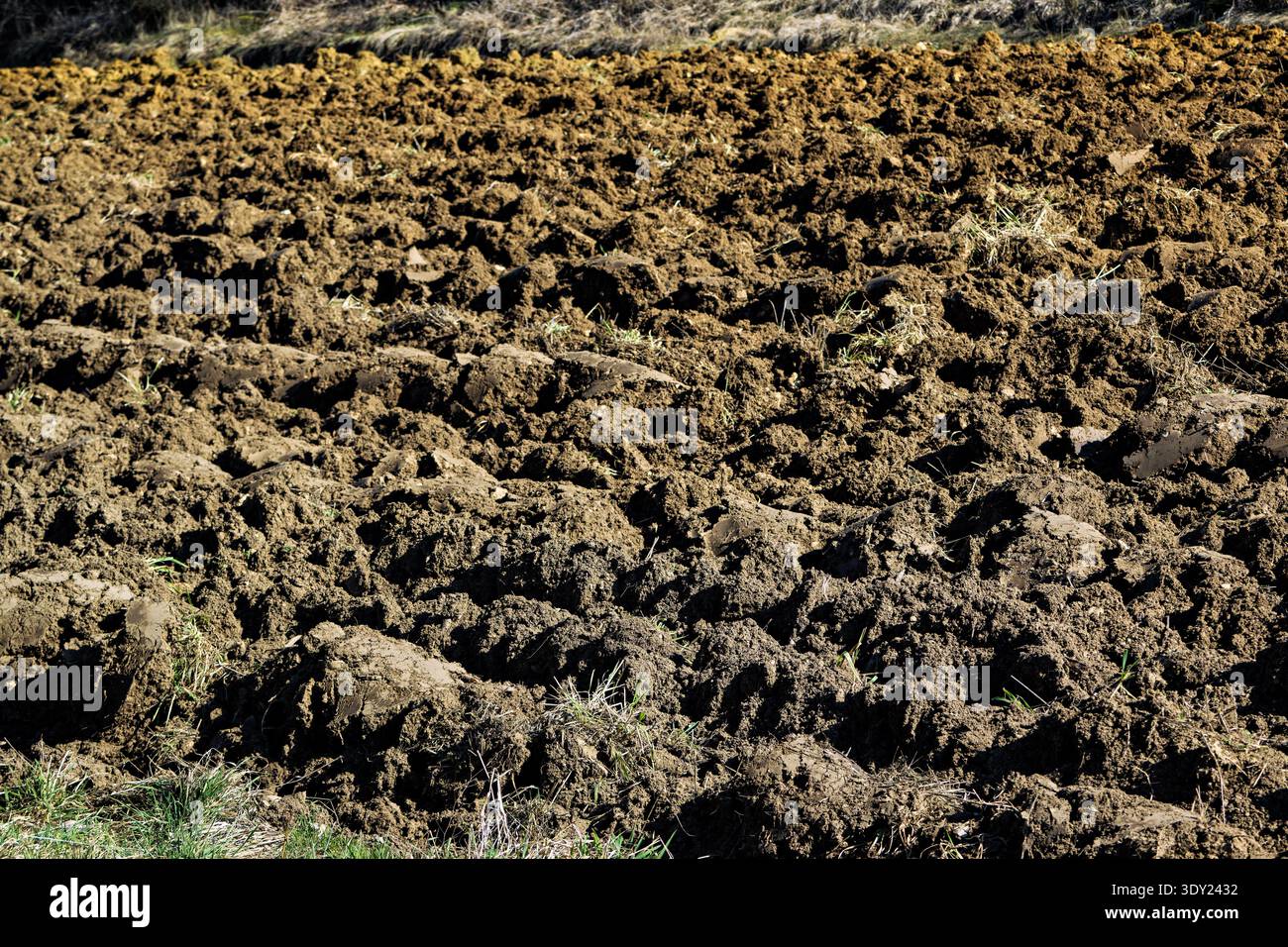 Campo appena arato, pronto per la semina, inizio primavera Foto Stock