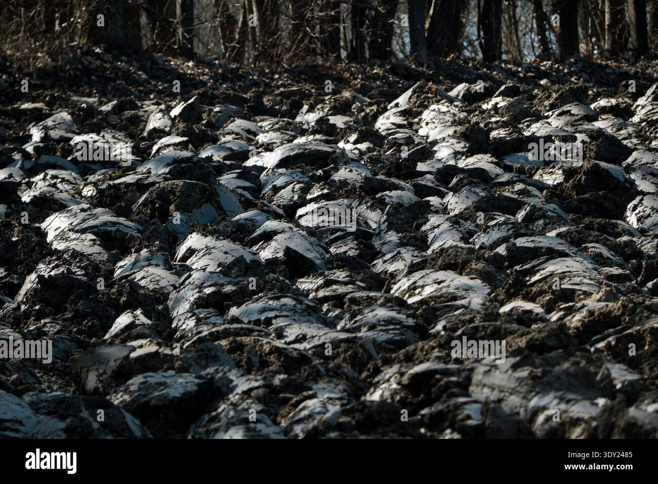 Campo appena arato, pronto per la semina, inizio primavera Foto Stock
