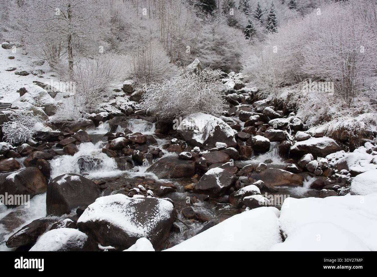 Fiume nel Pont d'Espagne, Cauterets, Francia Foto Stock