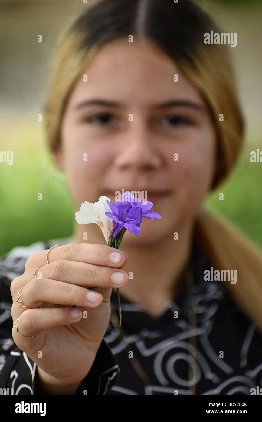 Questa incantevole immagine cattura la freschezza giovanile di Ciego de Ávila, Cuba. La messa a fuoco morbida evidenzia la delicatezza dei piccoli fl bianchi e violetti Foto Stock