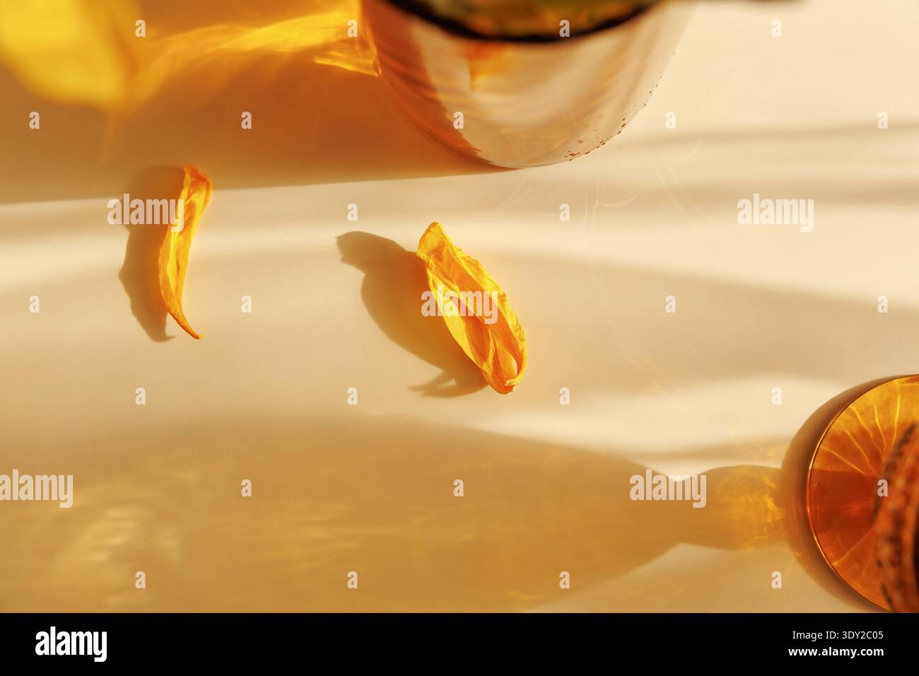 Estetica a vita lenta alla luce calda del sole e riflesso Foto Stock