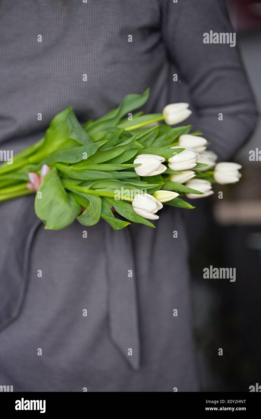 Un classico bouquet primaverile di tulipani bianchi nelle mani di una ragazza. Foto di alta qualità Foto Stock