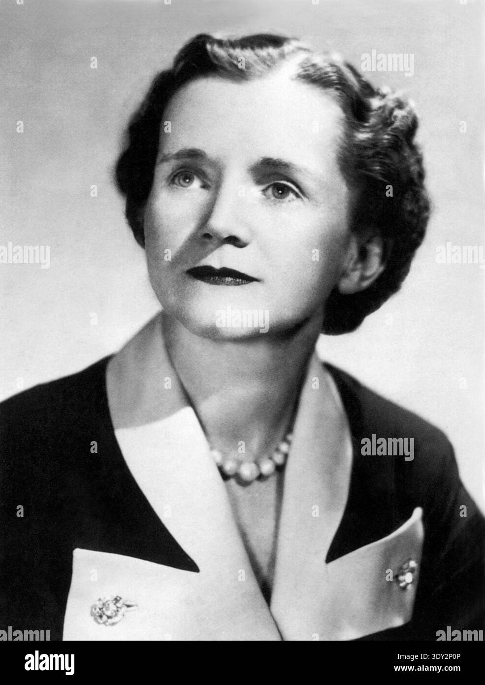 1947 c. , USA : la biologa e zoologa marina americana RACHEL Louise CARSON ( 1907 - 1964 ) in qualità di dipendente della U.S. Fish and Wildlife Service . Il suo libro del 1963, SILENT SPRING, ha sollevato preoccupazioni sul rischio ambientale dei pesticidi sintetici, tra cui il DDT . Il suo primo libro fu THE SEA AROUND US nel 1951 . Il libro è stato un BEST seller e ha vinto il National Book Award nel 1952 per la saggistica. Carson vendette i diritti per una versione cinematografica che vinse l'Oscar del 1953 per il miglior documentario. 1944 , USA : la biologa e zoologa marina americana RACHEL Louise CARSON ( 1907 - 1964 ) come em Foto Stock