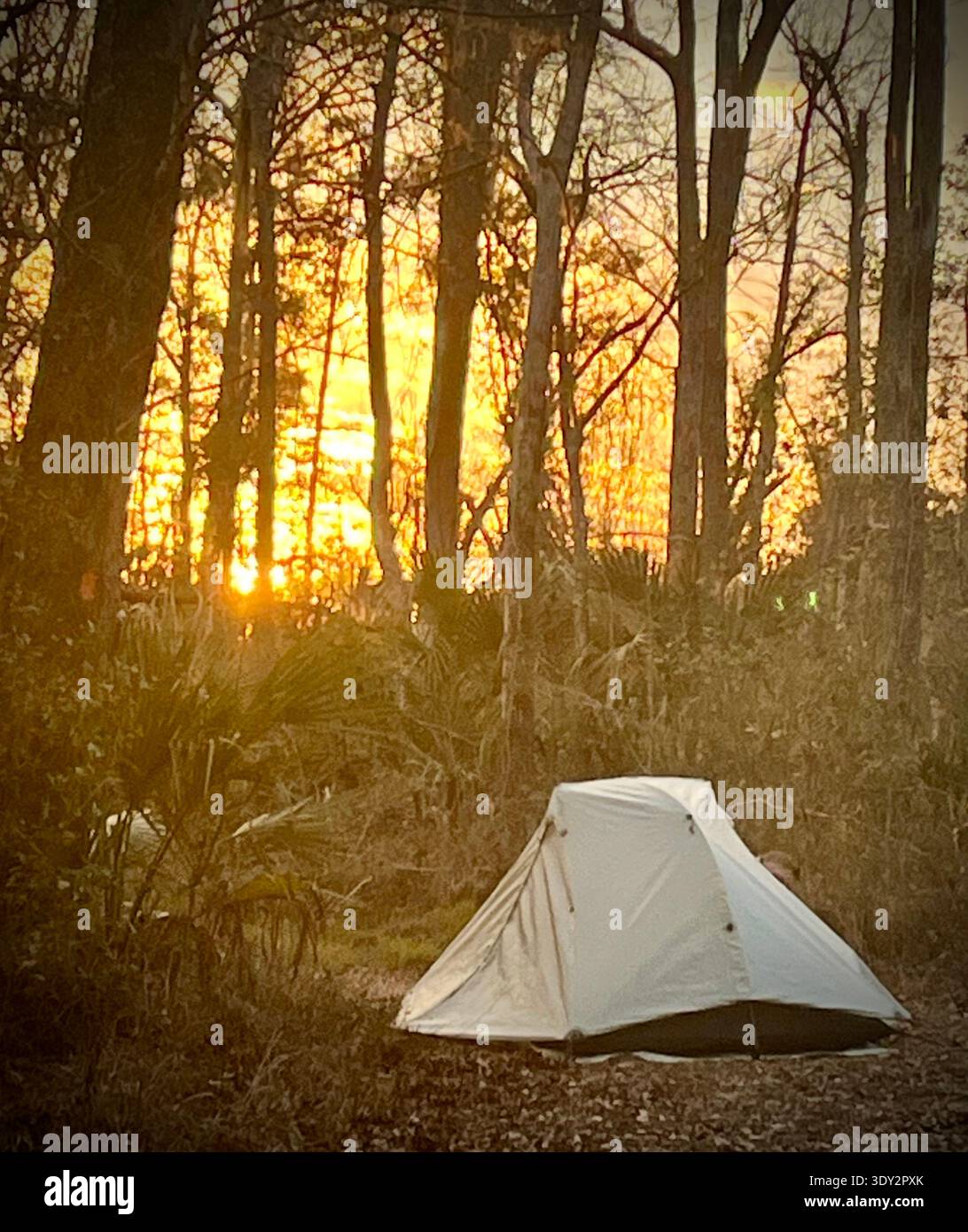 Tenda al tramonto sul Florida Trail - Immagine stock catturata con smartphone