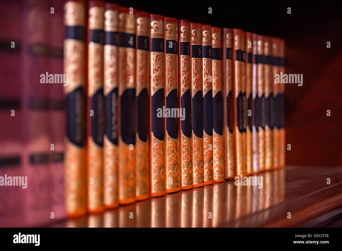 Fila di libri classici con spine dorate decorative su uno scaffale in legno scuro Foto Stock