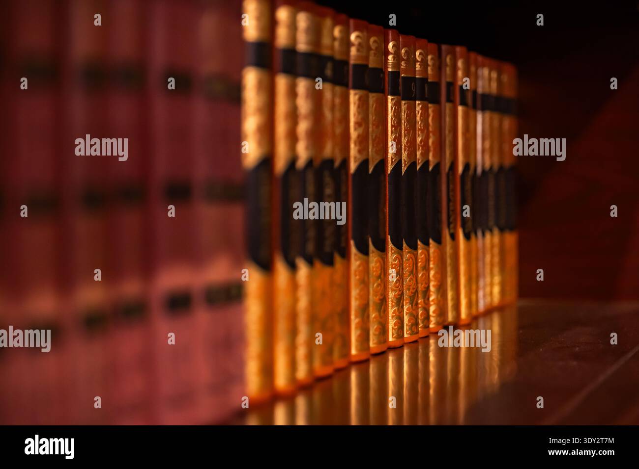 Libri decorati rilegati in oro che rivestono uno scaffale della biblioteca, simboleggiano la conoscenza e l'educazione Foto Stock