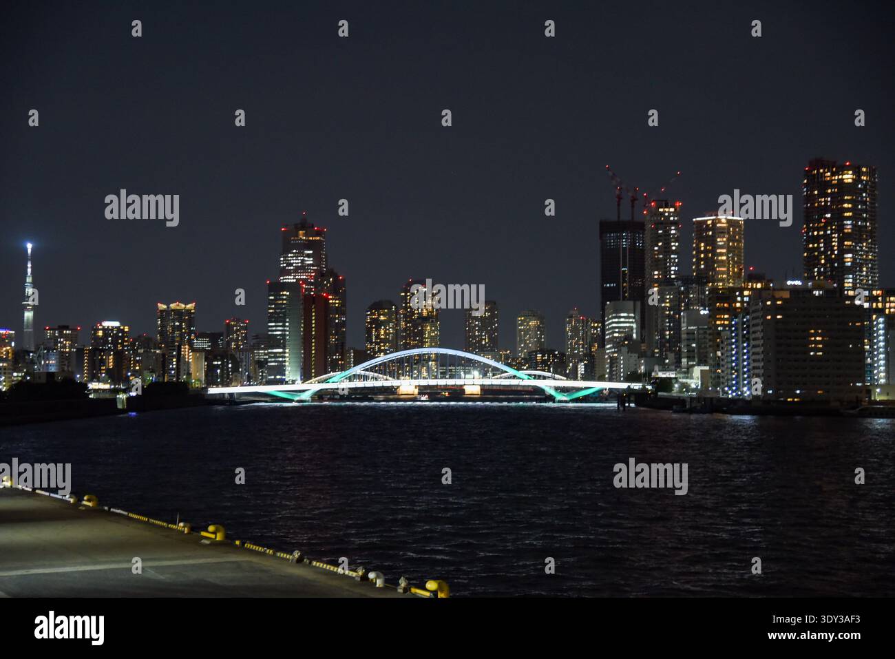 Ampio panorama del ponte Eitai sul fiume Sumida di Tokyo, con Tokyo Skytree che si illumina sullo skyline sinistro. Foto Stock