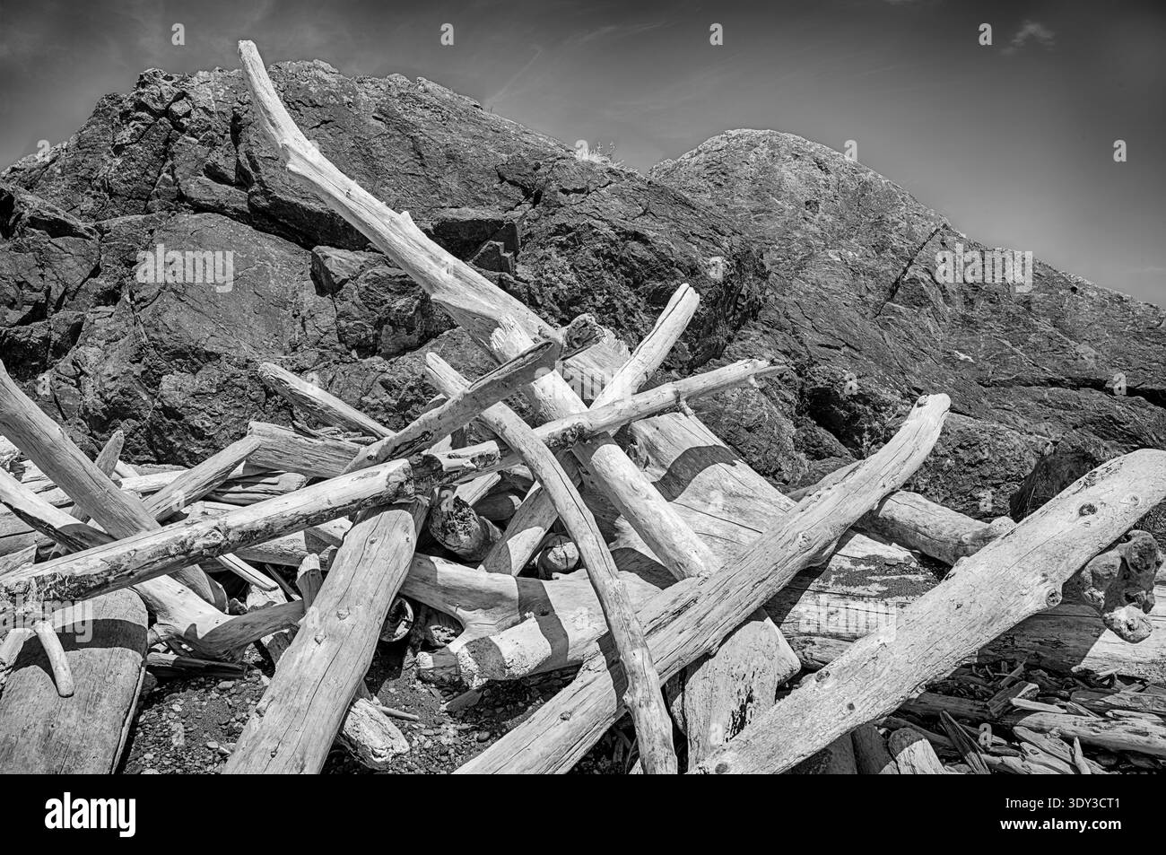 I tronchi di Diriftwood, spesso usati per creare rifugi informali, sono stati tratteggiati contro le rocce di South Beach da tempeste invernali. Foto Stock
