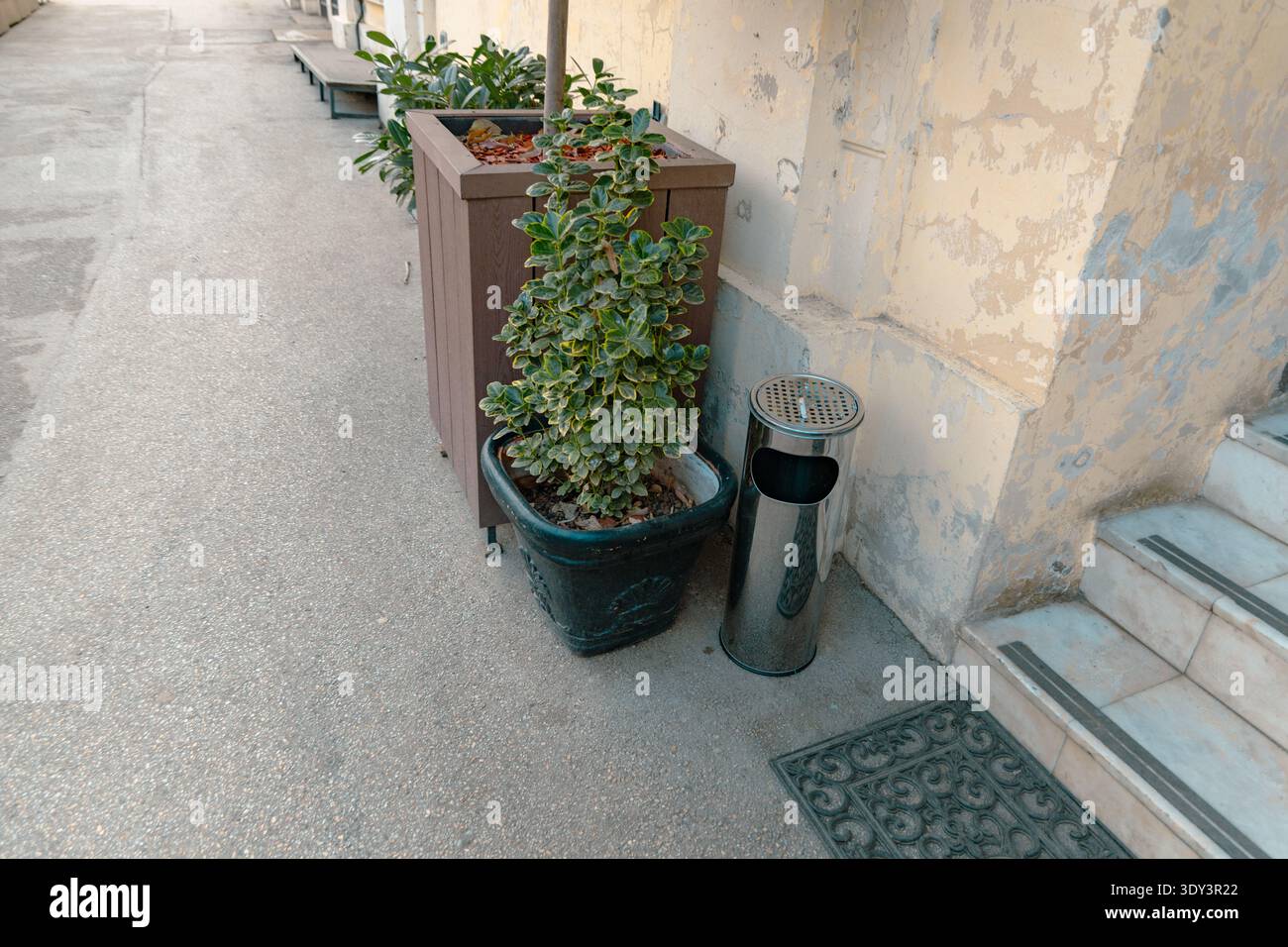 Arbusto in vaso urbano accanto al Metal Street Bin Foto Stock