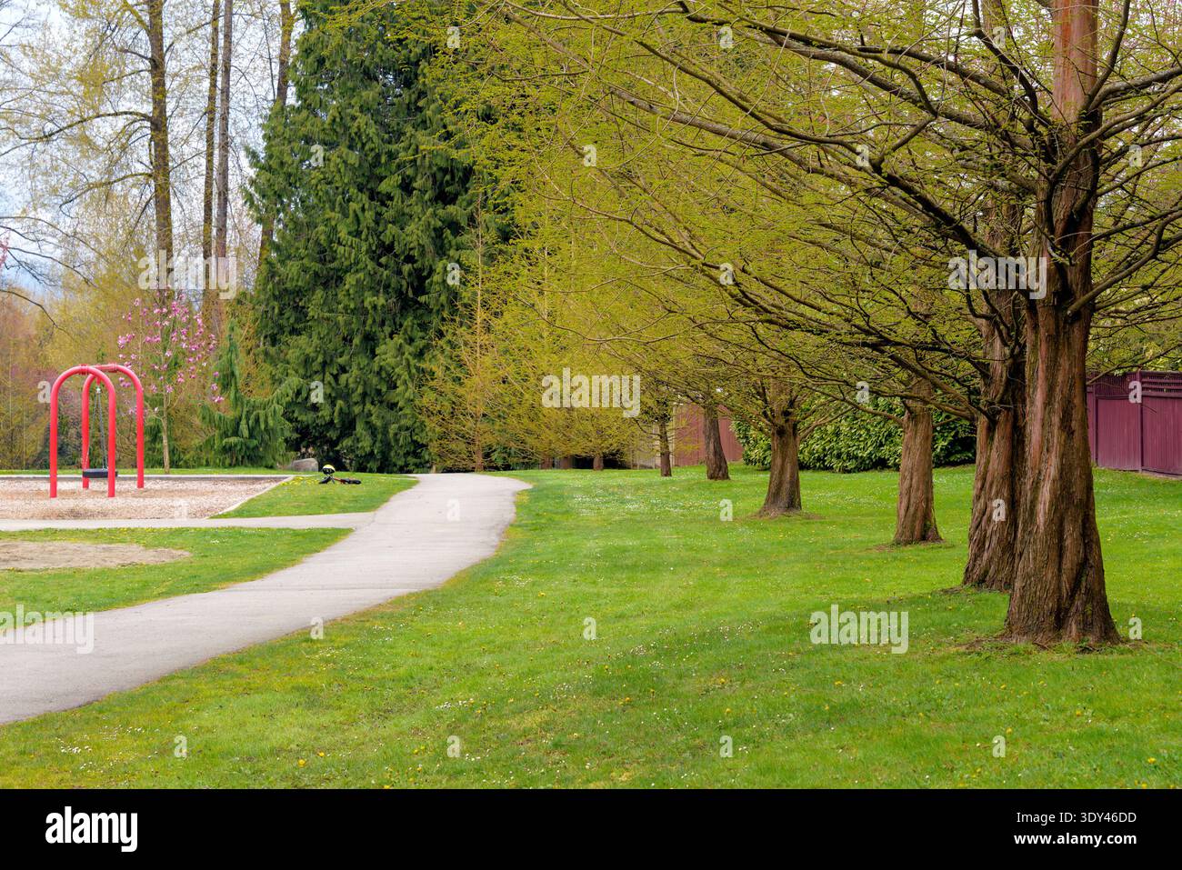 Bellissima passerella in un parco lungo alberi in fiore Foto Stock