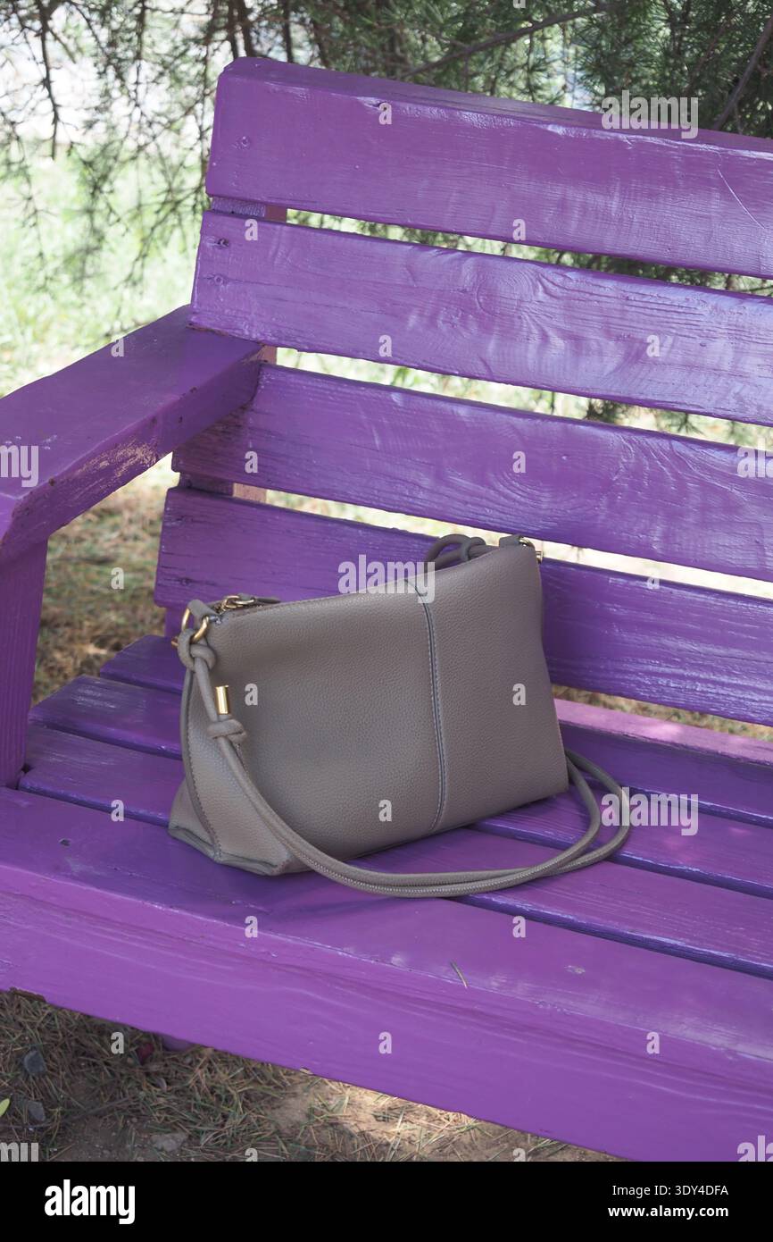 Fai una borsa su una panchina viola in un parco durante il pomeriggio Foto Stock