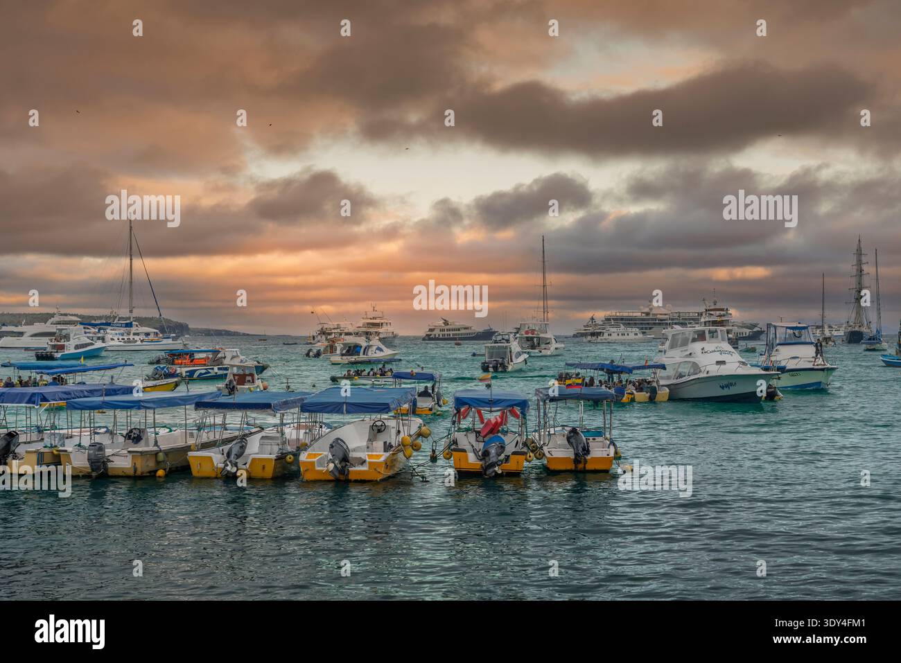 Sull'isola di Santa Cruz, Galapagos, Ecuador, Sud America. Foto Stock