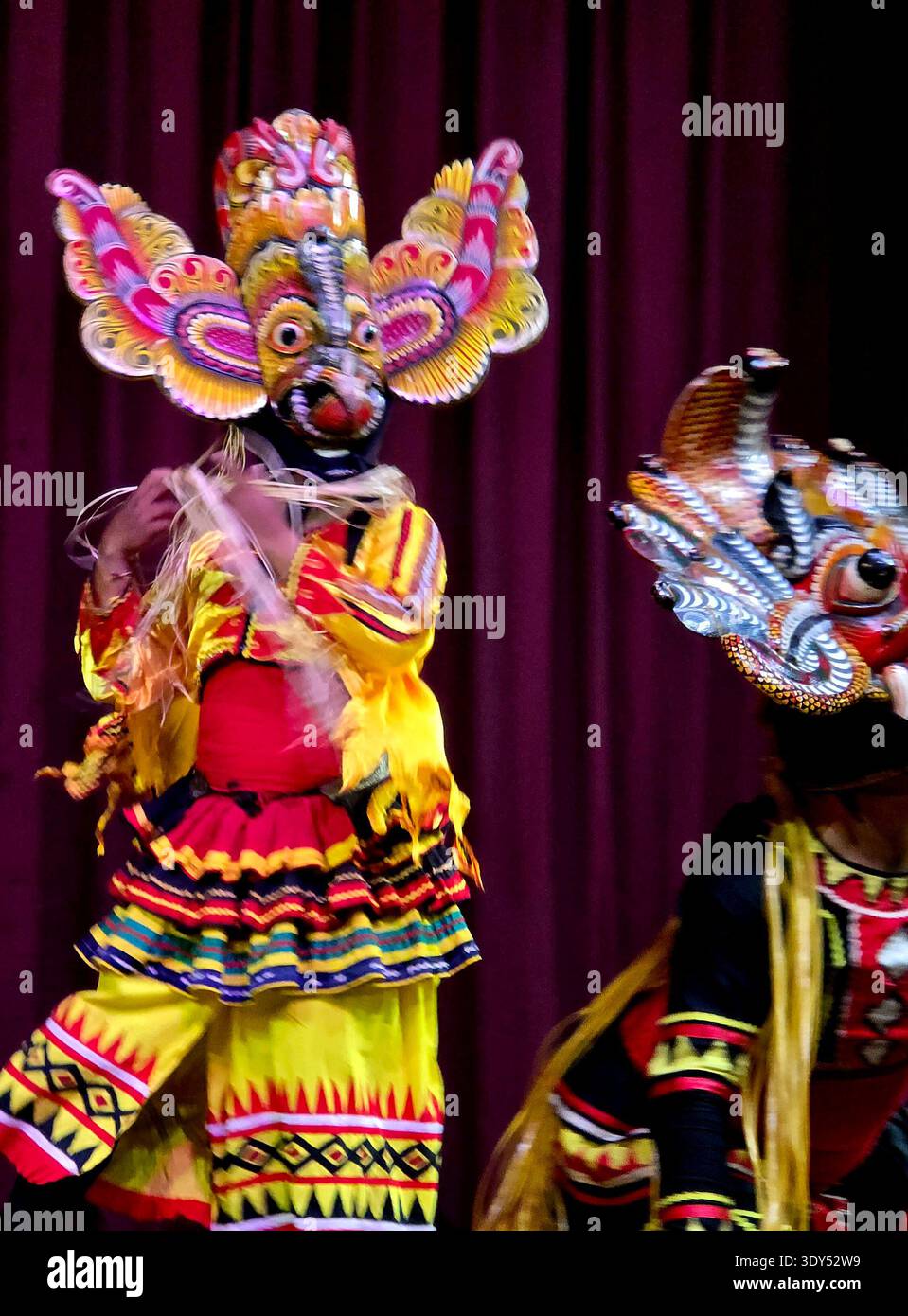 Uno spettacolo di danza culturale in Sri Lanka è una popolare attrazione turistica, che mostra il ricco patrimonio del paese attraverso la musica tradizionale, la danza e la batteria. Questi spettacoli spesso presentano danze provenienti da diverse regioni dello Sri Lanka, tra cui la famosa danza Kandyan, la danza del diavolo e le danze popolari. Kanday, Sri Lanka. Foto Stock