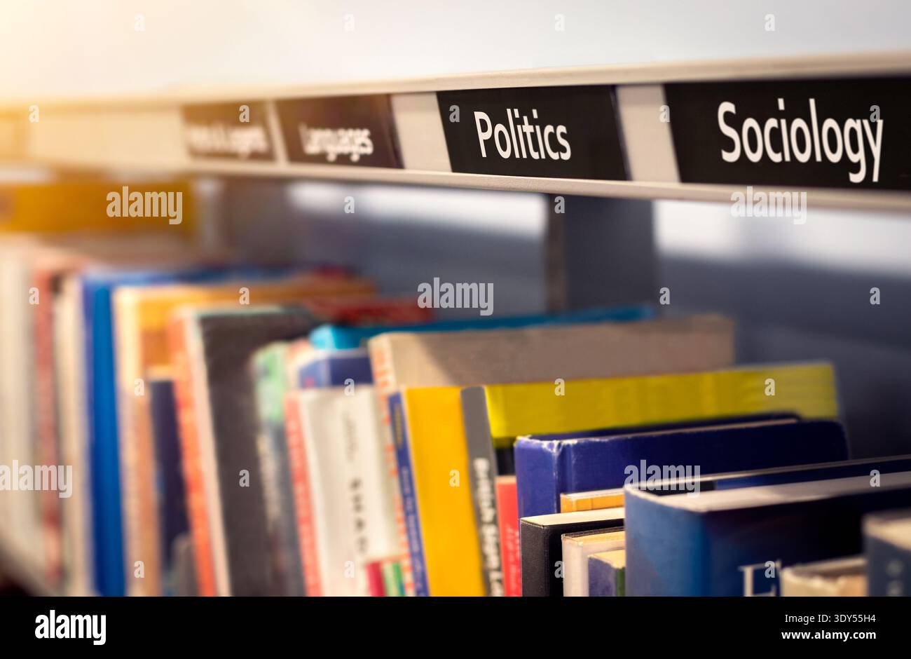 Libri di politica e sociologia che studiano scienze politiche, dibattito, società, conflitti, norme sociali e governo. Libri di testo su argomenti educativi. Foto Stock