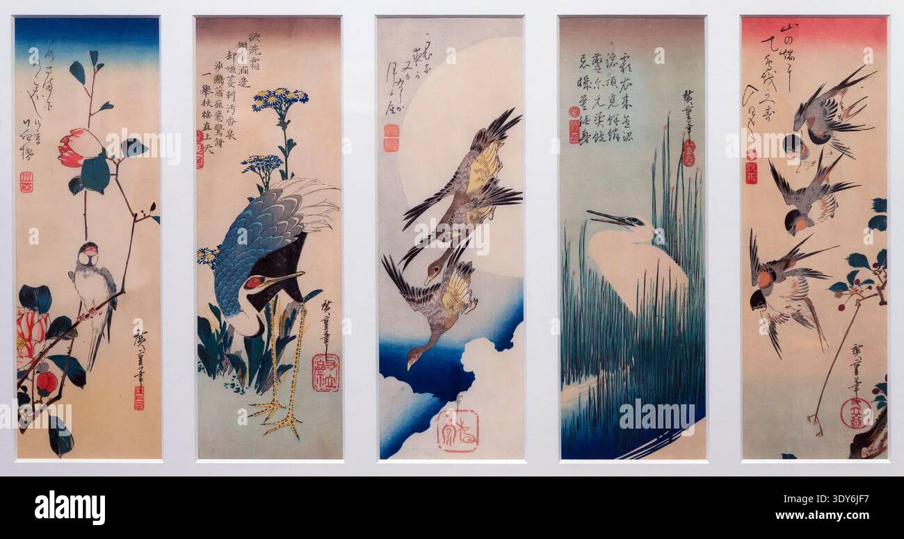 Giava Sparrow e Camelia, Crane and Asters, tre oche e Luna piena, Egret e canne, rondini e granchio Apple, Utagawa Hiroshige, 1830's, Foto Stock