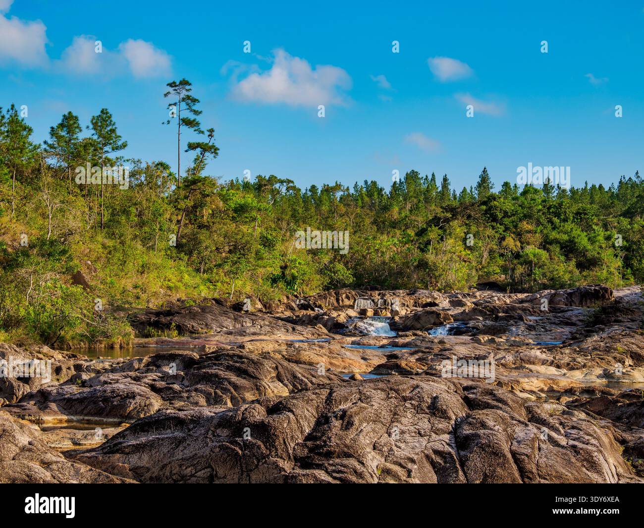 Esplora le bellezze naturali di Rio on Pools nella riserva forestale di Mountain Pine Ridge durante una giornata di sole Foto Stock