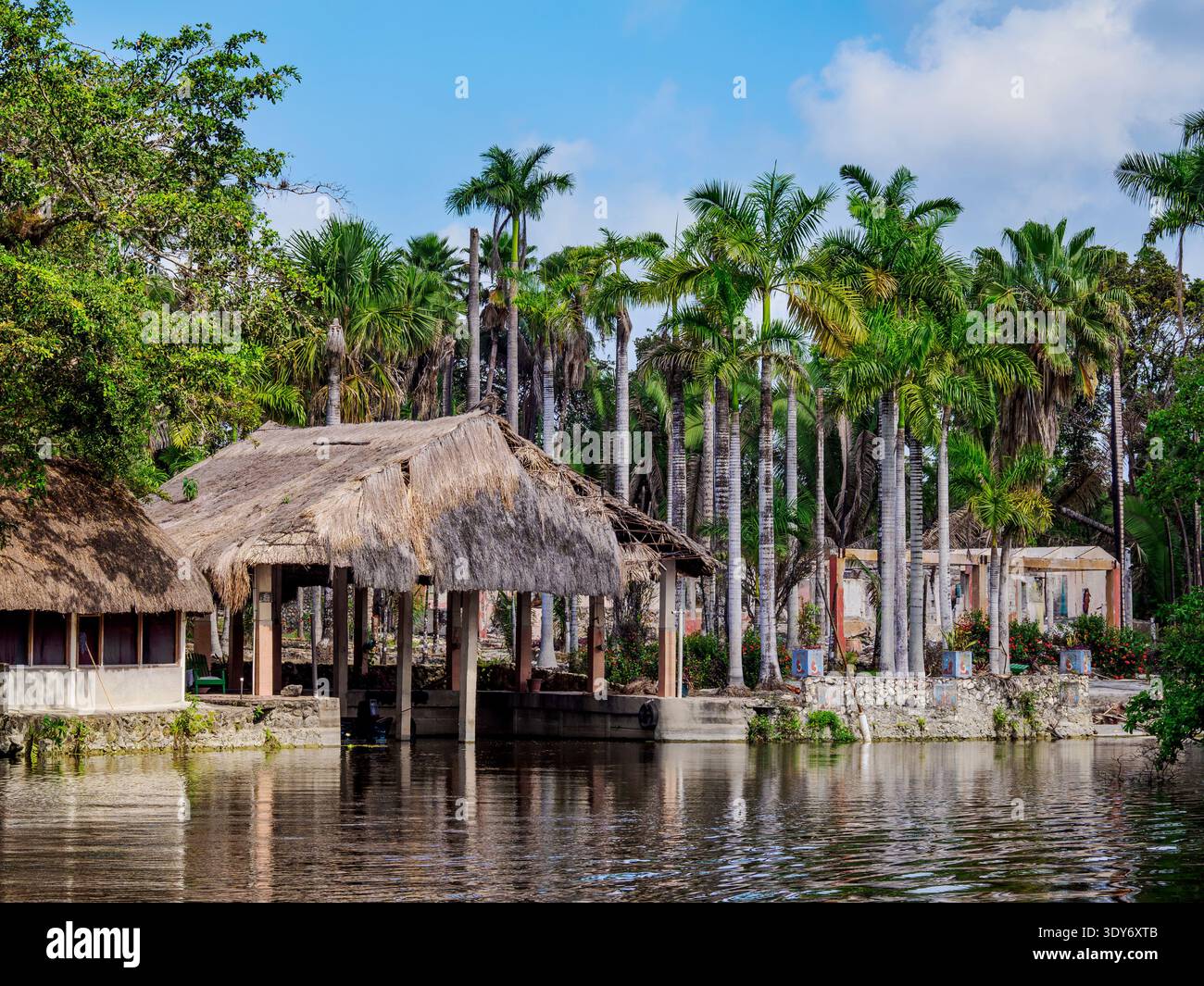 Vista del Giardino Maya dal New River con palme e strutture in paglia a Tower Hill, Orange Walk District in Belize Foto Stock
