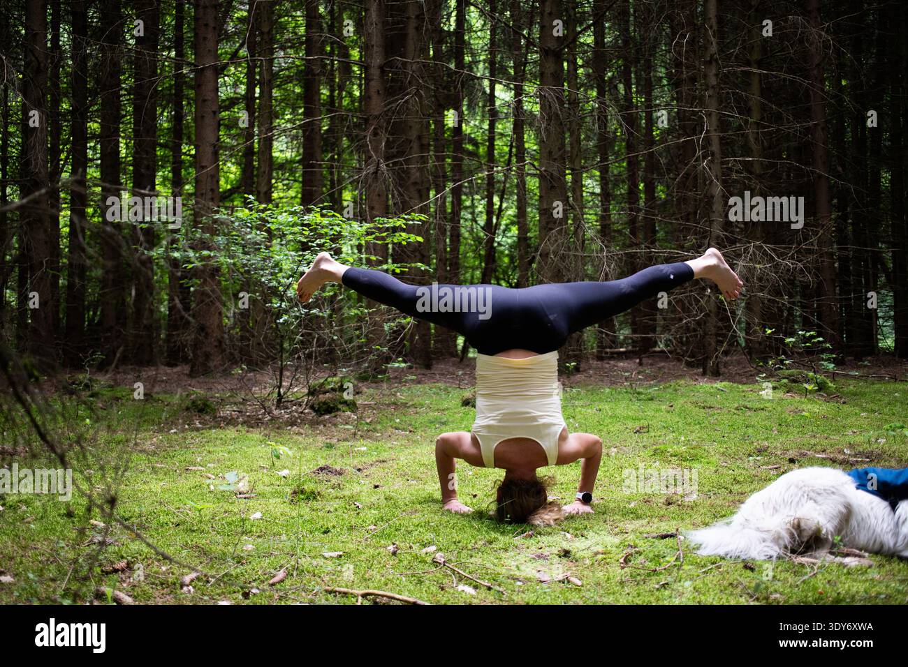 La donna pratica yoga nella foresta con il cane riposa di giorno a Cluj in Romania Foto Stock