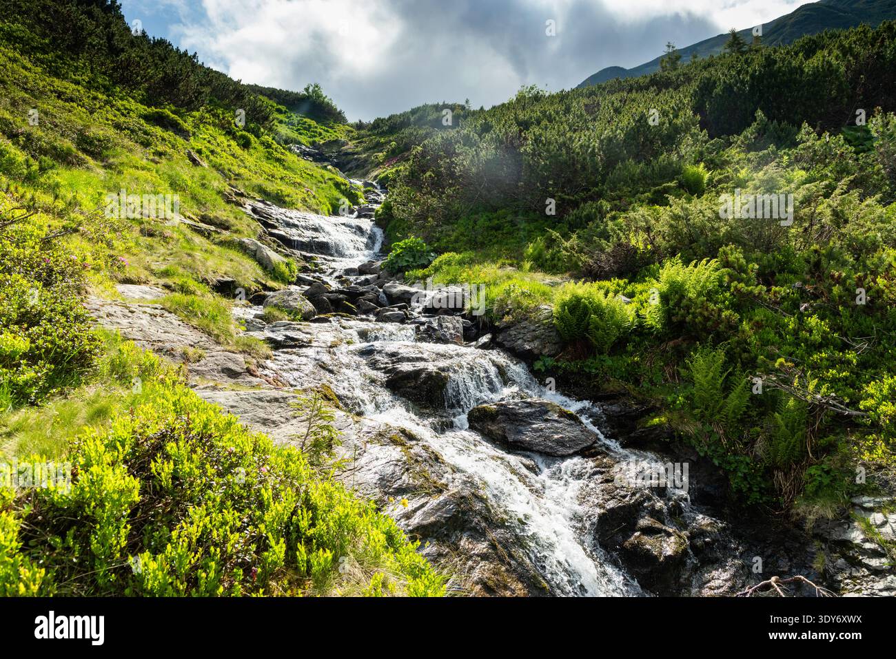 L'acqua scorre giù dalle rocce in un paesaggio verde con colline e nuvole in Romania Foto Stock