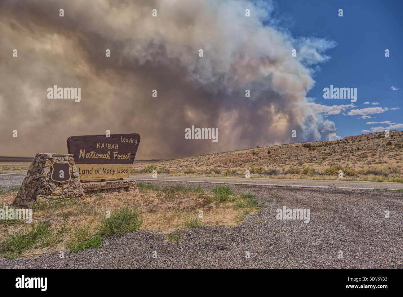 Il fumo emana dal Dragon Bravo Wildfire sul versante nord del Grand Canyon visto dall'altopiano di Kaibab vicino alla US89A in Arizona Foto Stock