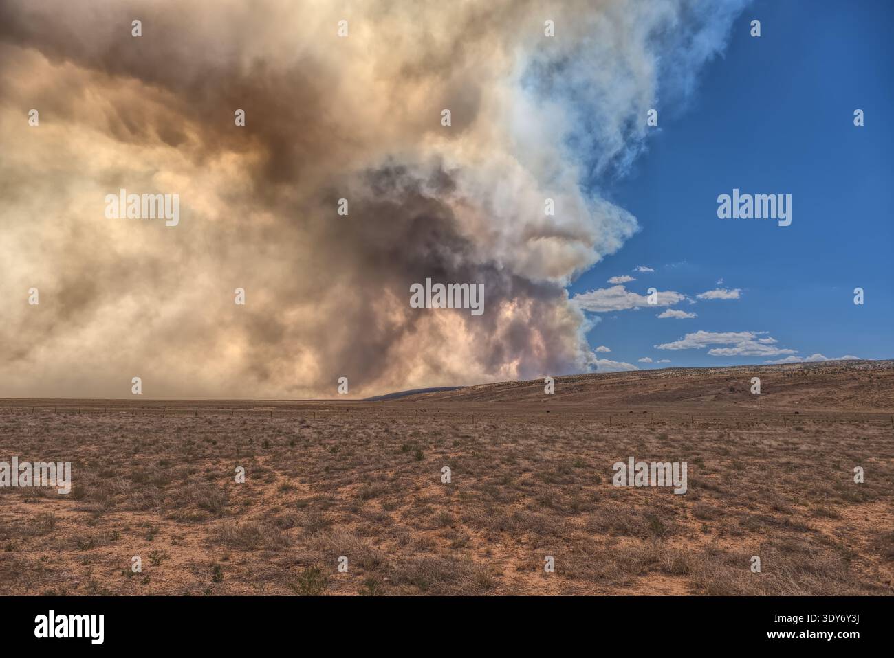 Il fumo proviene dal Dragon Bravo Wildfire sul versante nord del Grand Canyon vicino all'altopiano di Kaibab in Arizona Foto Stock