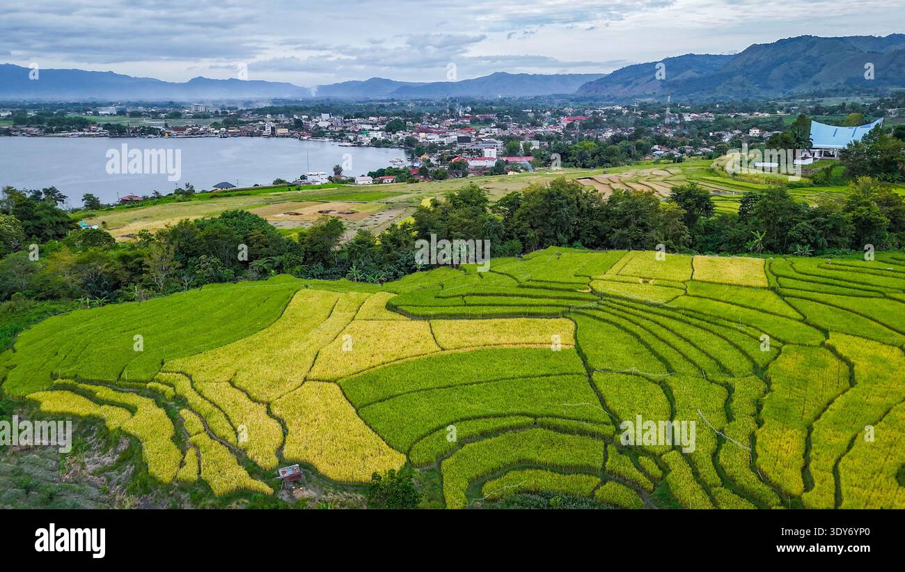 Vista aerea dei campi di riso terrazzati sulle pendici del lago Toba, Sumatra settentrionale Foto Stock