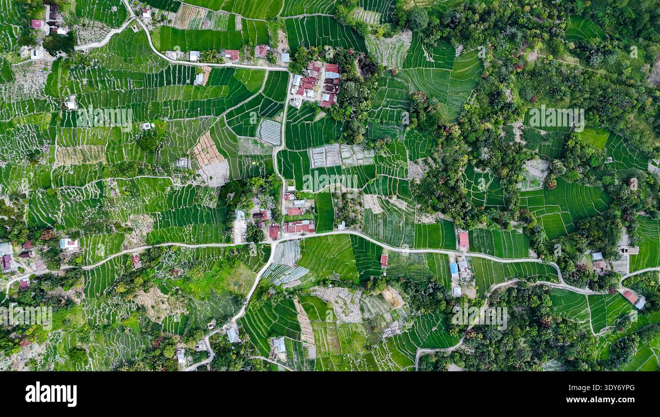 Vista aerea dei campi di riso terrazzati sulle pendici del lago Toba, Sumatra settentrionale Foto Stock
