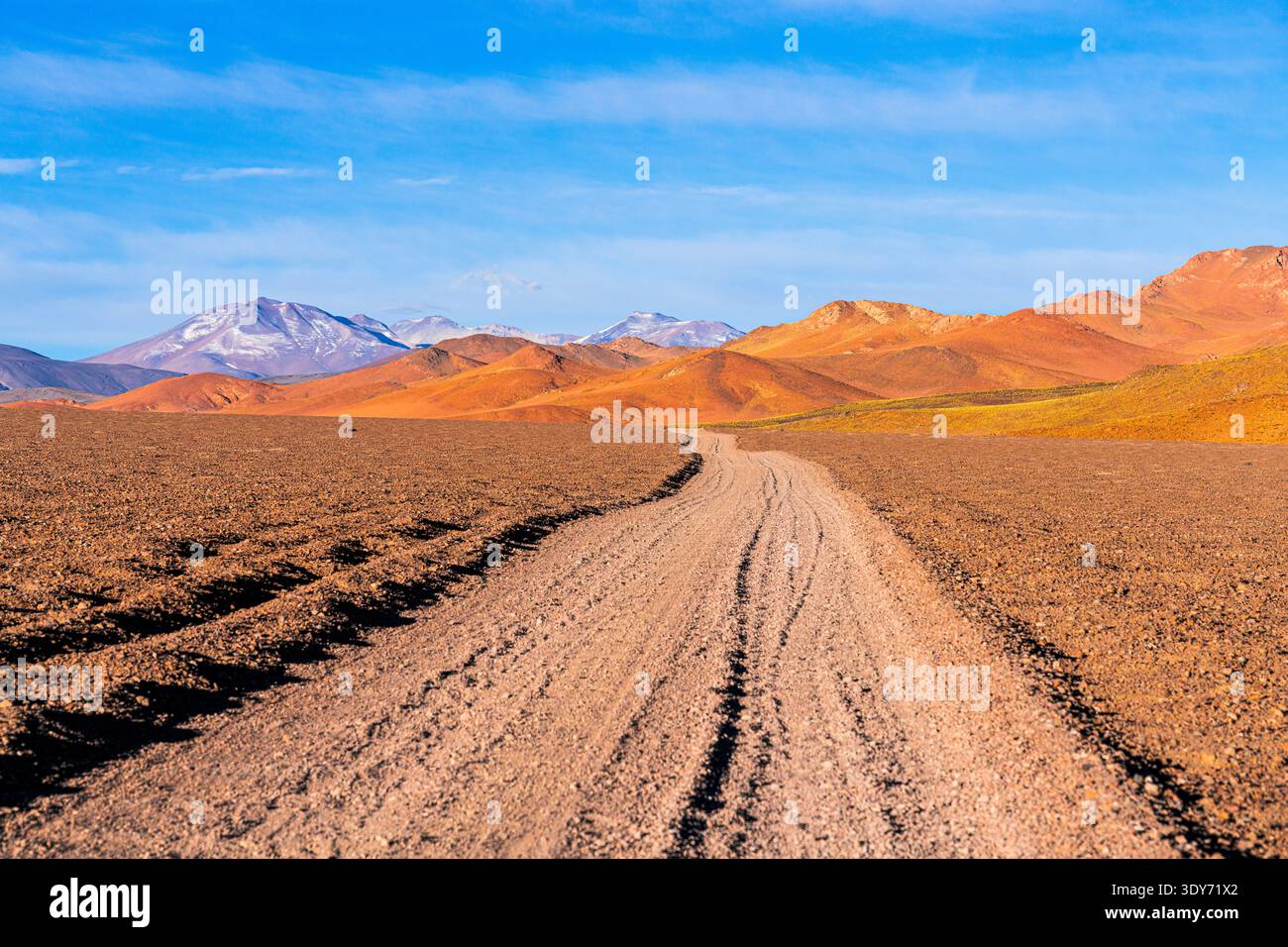 La strada sterrata si estende attraverso altopiani con montagne sullo sfondo nella regione di Puna in Argentina Foto Stock