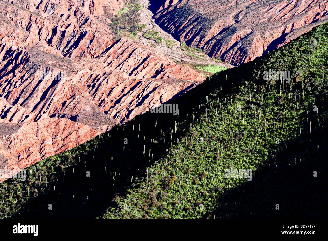Le rocce rosse a righe contrastano con i cactus verdi nel paesaggio di Jujuy, Argentina Foto Stock