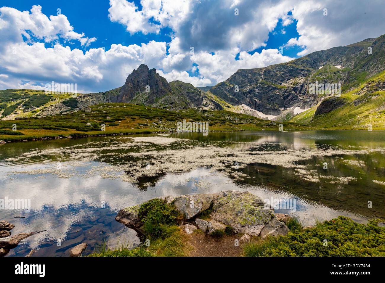 La superficie riflettente del lago mostra picchi e nuvole con piante alpine in primo piano sotto il cielo blu dei Monti Rila in Bulgaria Foto Stock