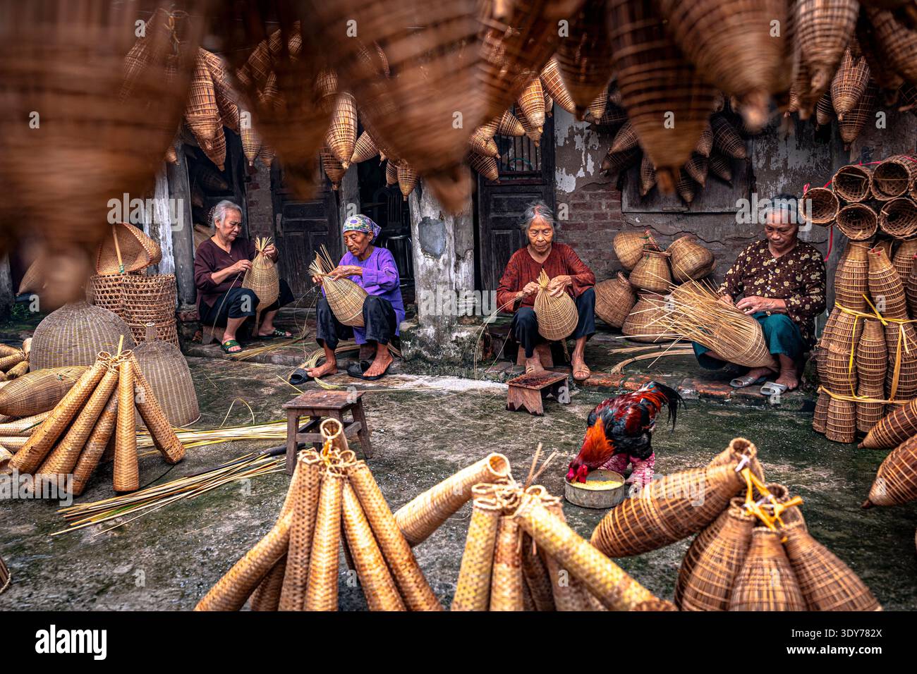 Le donne realizzano trappole per pesci di bambù ad Hanoi, Vietnam, mostrando le abilità ereditate da generazioni in un ambiente tradizionale di laboratorio Foto Stock