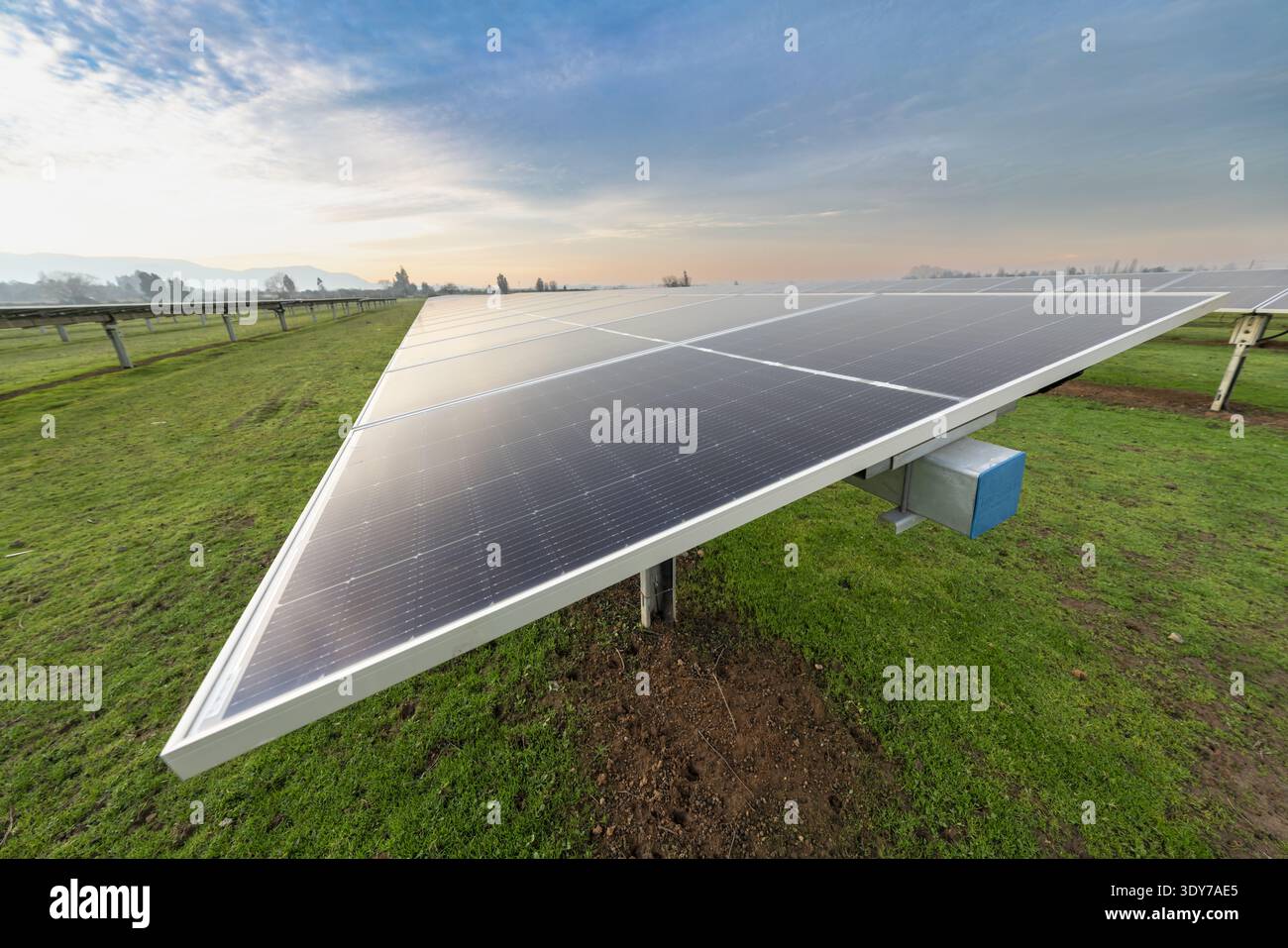 Primo piano di pannelli fotovoltaici solari installati in un campo erboso durante la luce del mattino presto, che mostrano la tecnologia energetica sostenibile. Foto Stock