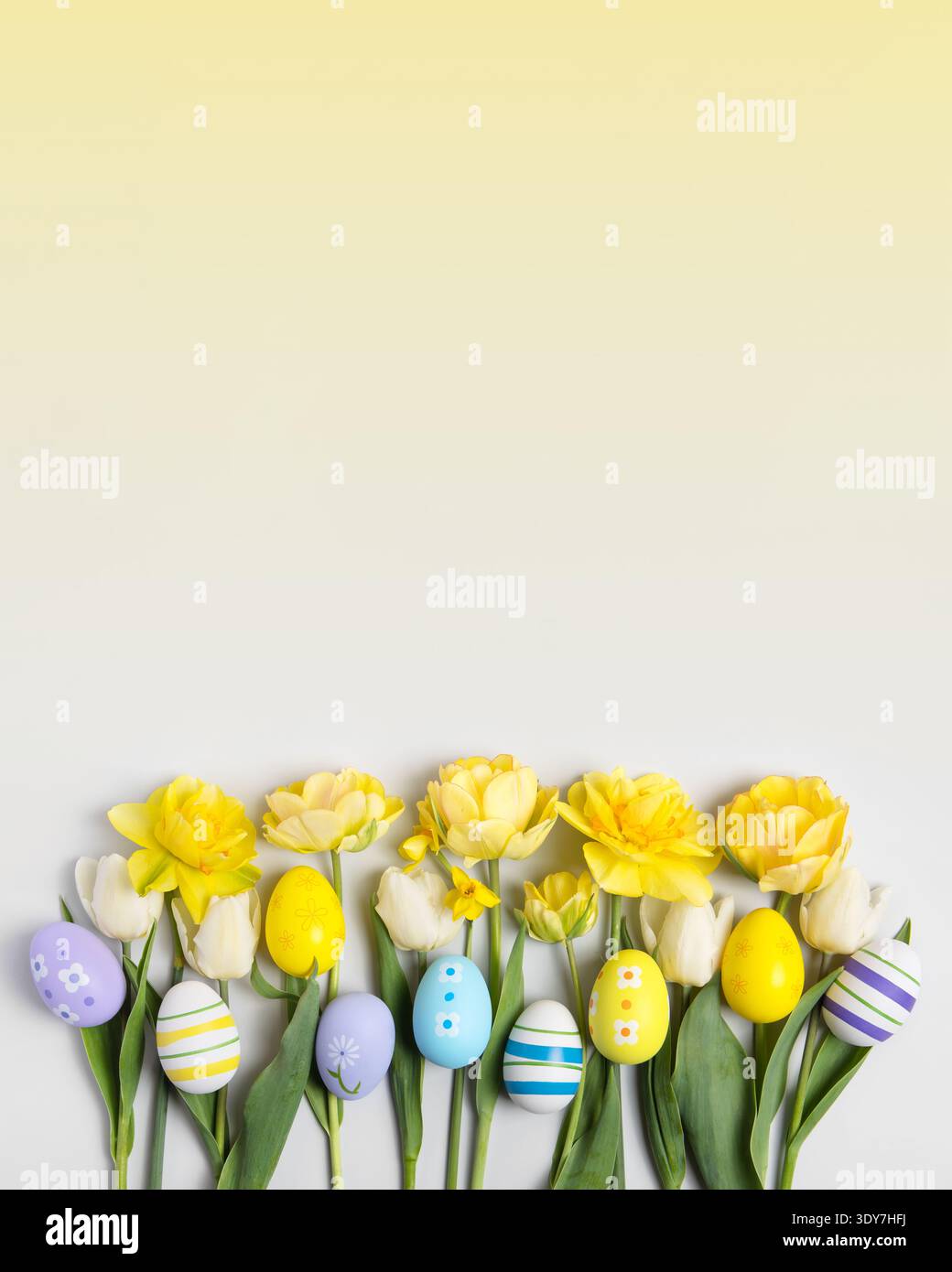 Uova dipinte di colore pasquale e narcisi e tulipani gialli su sfondo giallo sfumato con spazio per testo e saluti. Pasqua e primavera. Sfondo primaverile Foto Stock