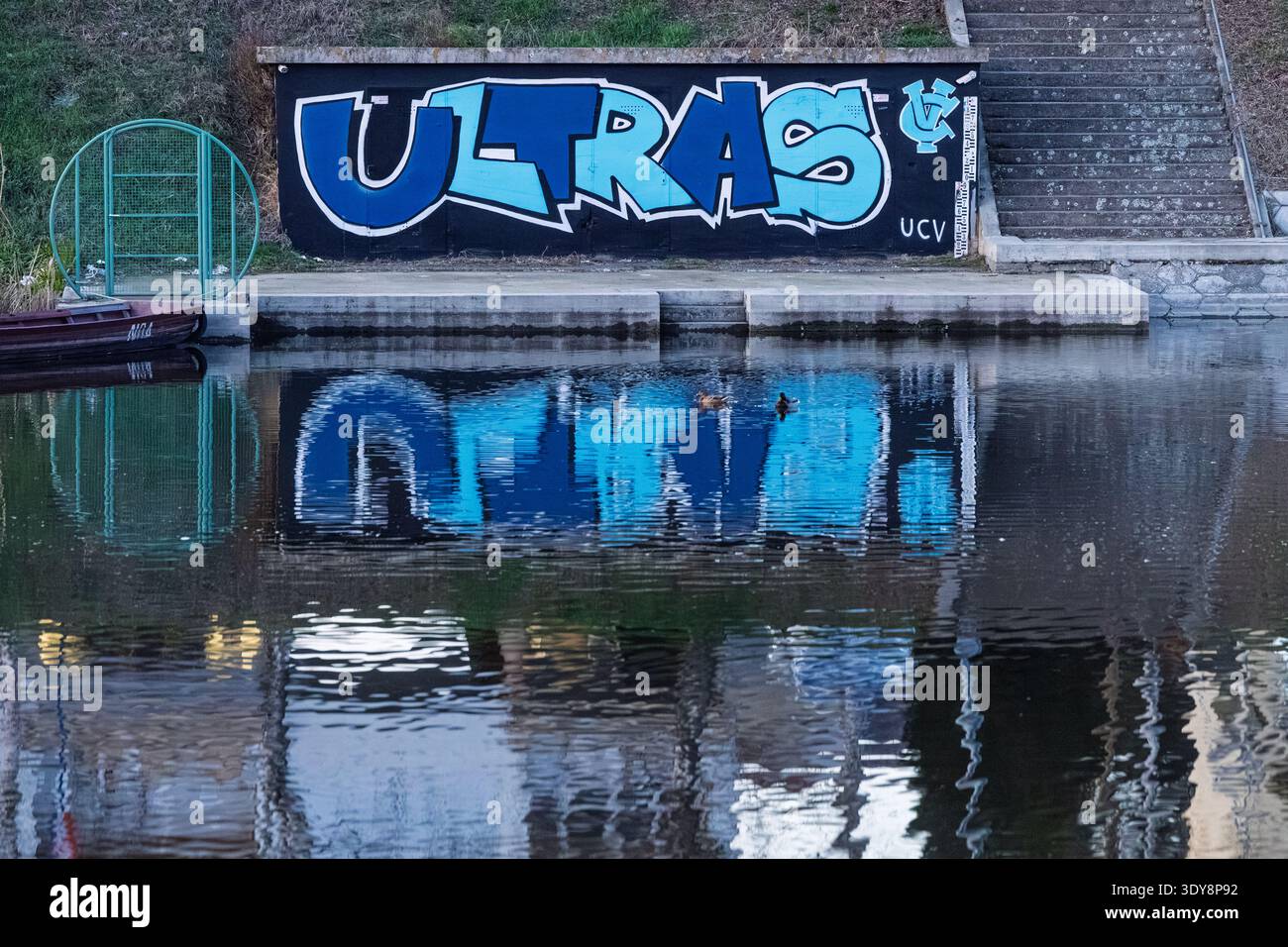 VINKOVCI, CROAZIA, 02.18.2026: I graffiti blu "Ultras" si estendono su una parete in cemento lungo il fiume e si specchiano nelle acque calme, mentre due anatre nuotano vicino a un piccolo b Foto Stock