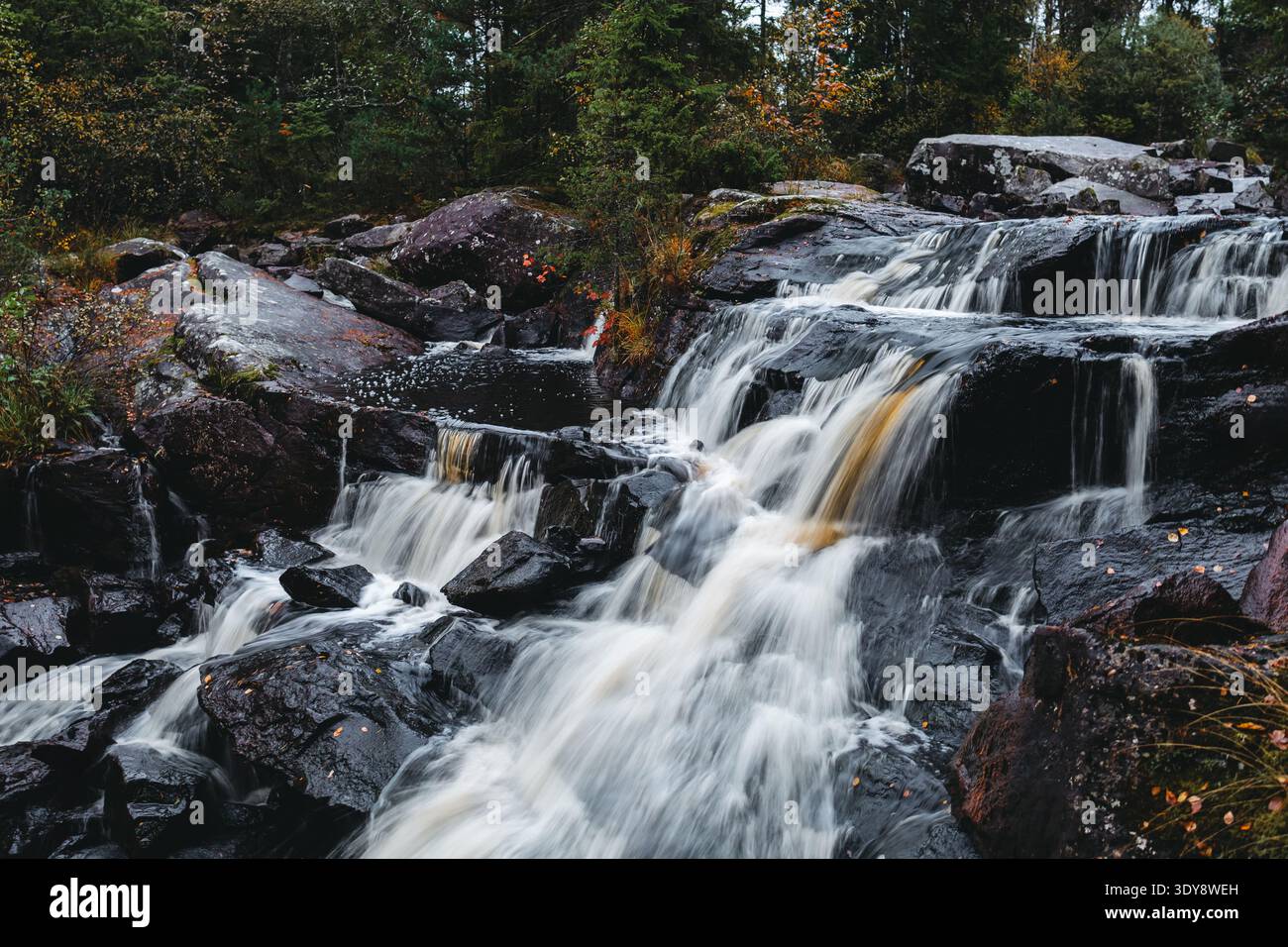 Cascata autunnale sulle Dark Rocks nella foresta scandinava Foto Stock