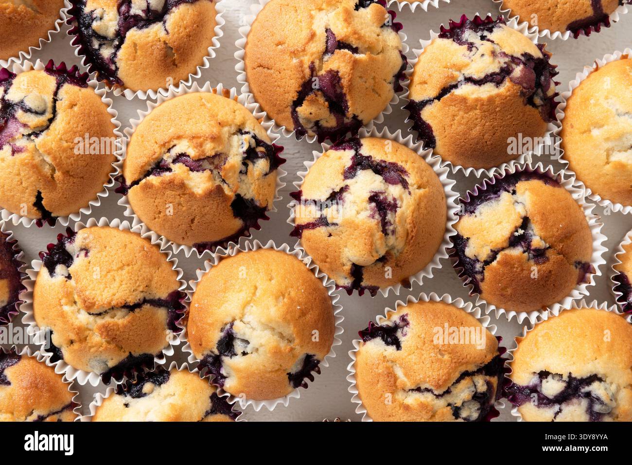Soffione orizzontale di muffin al mirtillo fatti in casa di grandi dimensioni che riempiono la cornice Foto Stock