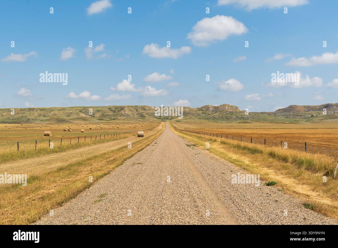 Una strada sterrata attraversa le praterie del Saskatchewan, che si estende verso distanti calanchi all'orizzonte. Foto Stock