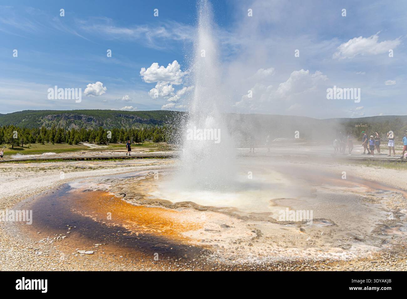 Morning Glory Pool, una sorgente calda nel gruppo Morning Glory dell'Upper Geyser Basin di Yellowstone, Wyoming, Stati Uniti. Foto Stock